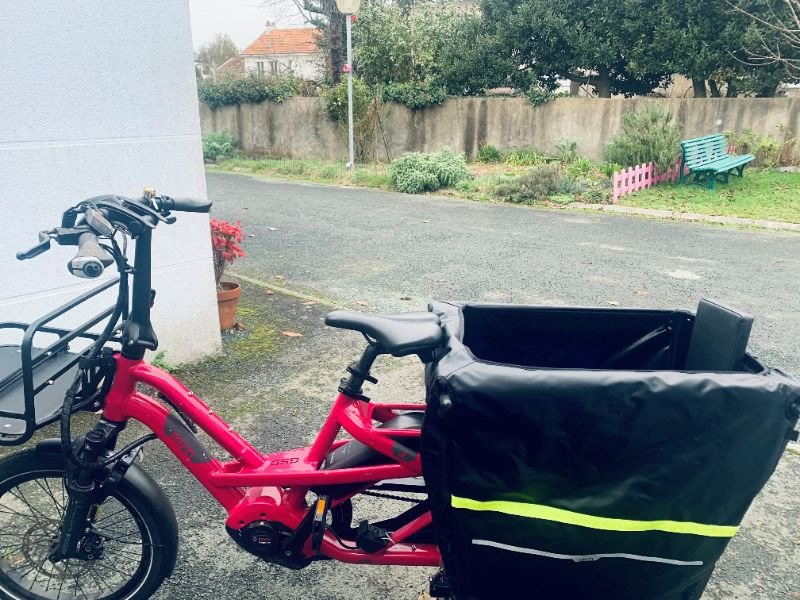 Cargo Tern GSD image