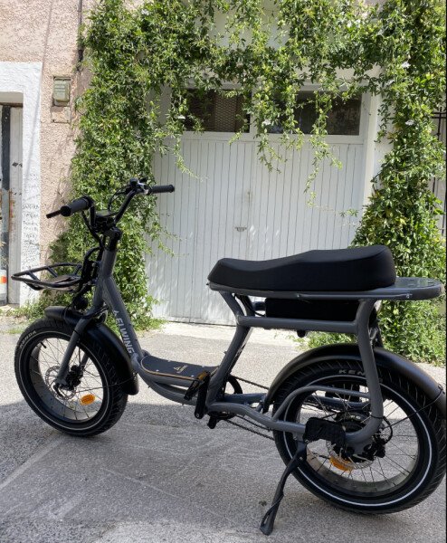 Elwing Yuvy - Vélo homologué 2 places image