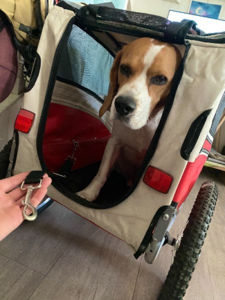 Remorque Leonpets image