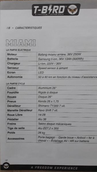 Vélo de ville T-BIRD image