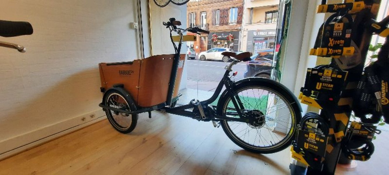 Cargo Babboe Go Mountain image