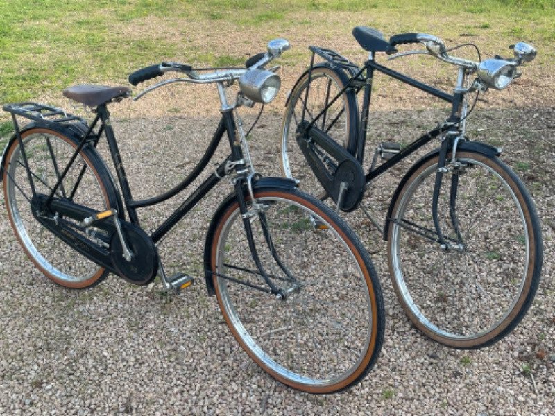 Vélo de ville Raleigh image