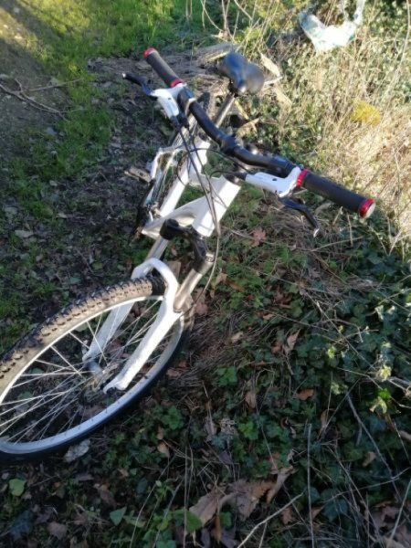 VTT Giant REVEL image