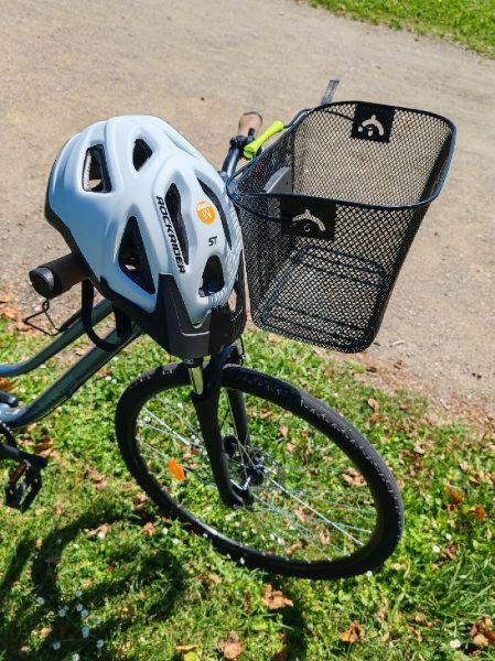 VTC Decathlon Riverside 500 image