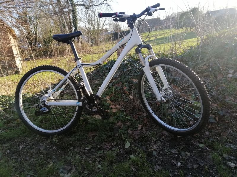 VTT Giant REVEL image