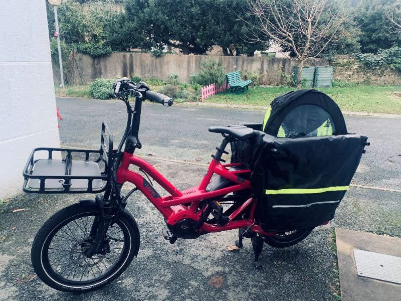 Cargo Tern GSD image