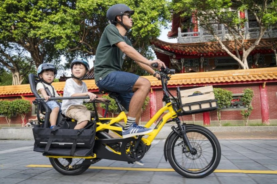 Cargo Tern GSD image