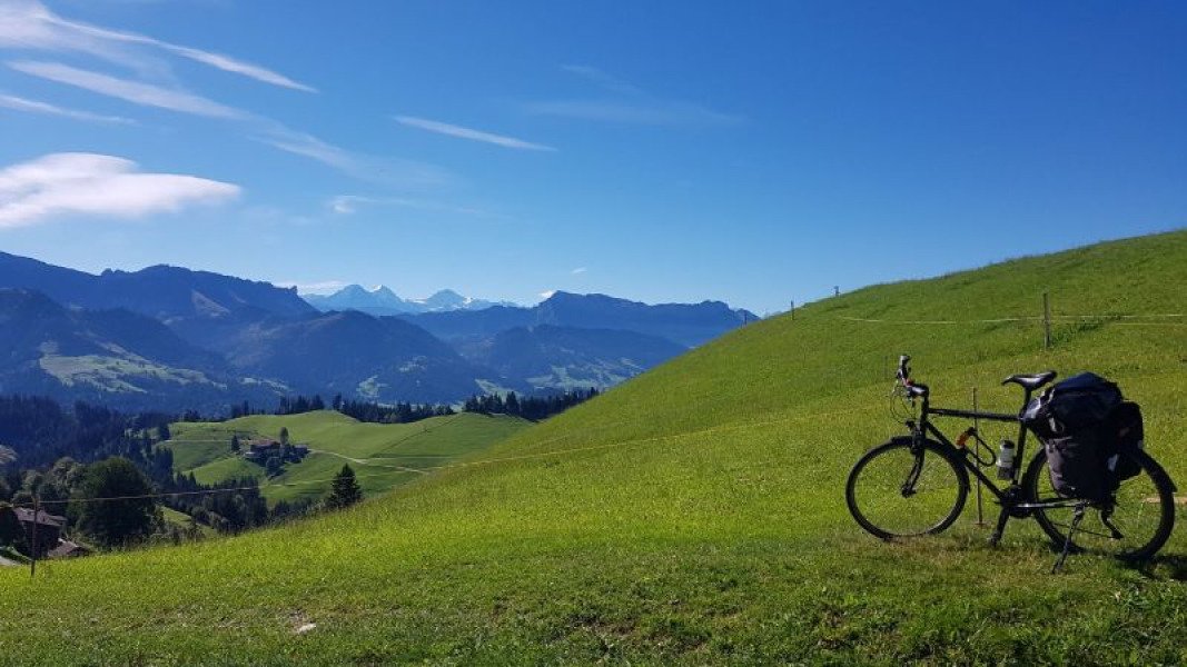 Le vélo de randonnée VSF Fahrradmanufaktur T-500 image