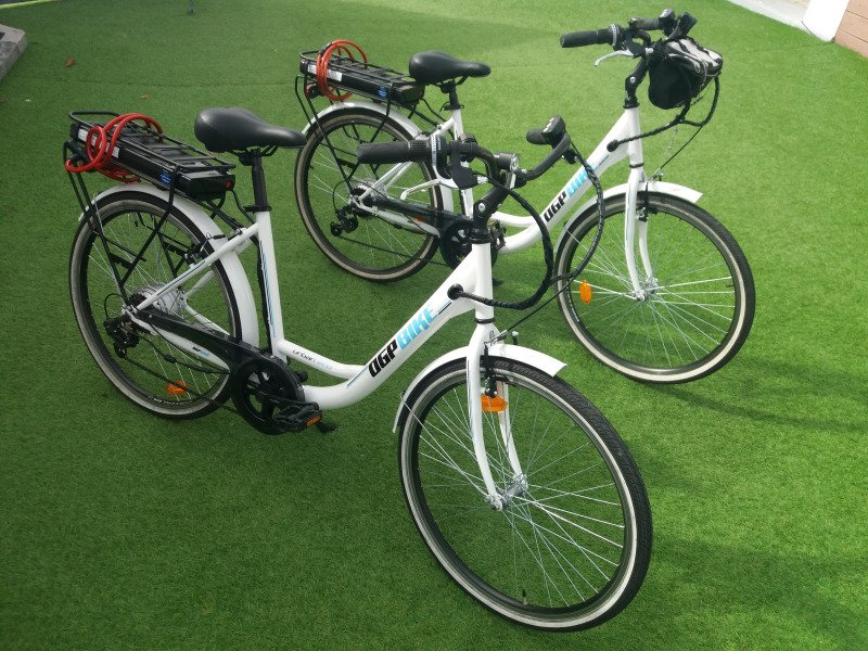 Velo électrique E.Balade VAE image