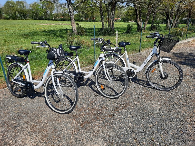 Vélos de ville VAE image