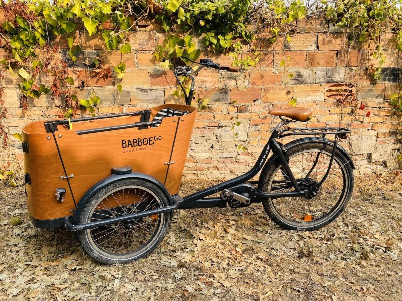 A picture of the listing Vélo cargo Go Mountain BABBOE