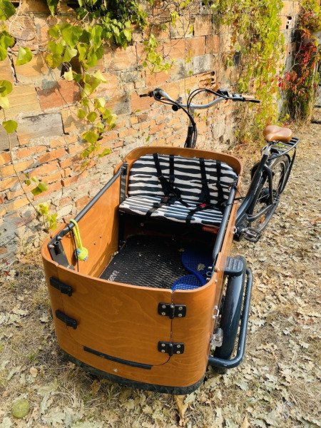 A picture of the listing Vélo cargo Go Mountain BABBOE