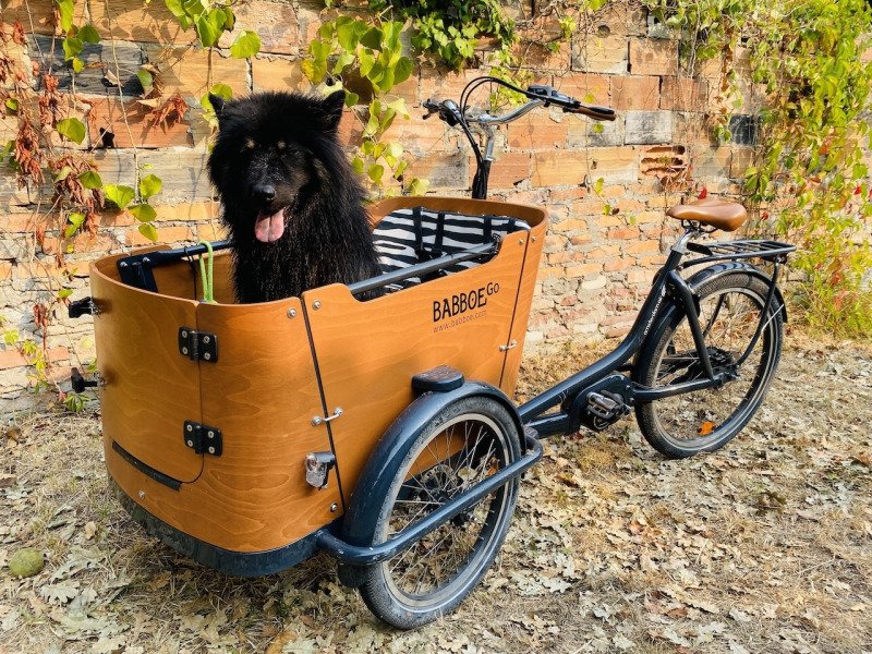 A picture of the listing Vélo cargo Go Mountain BABBOE