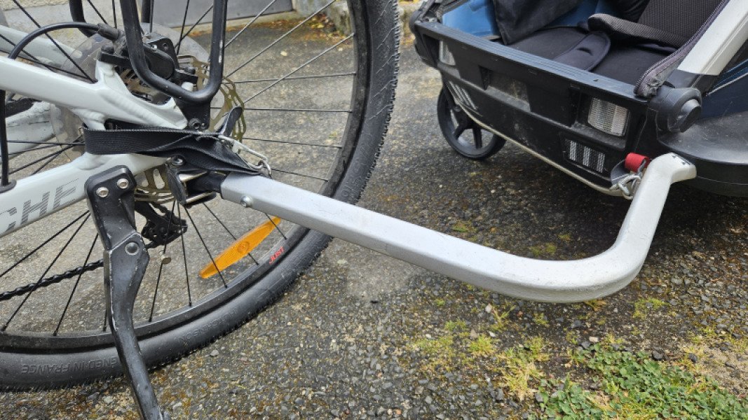 Remorque enfant bi-place - Thule Cross image