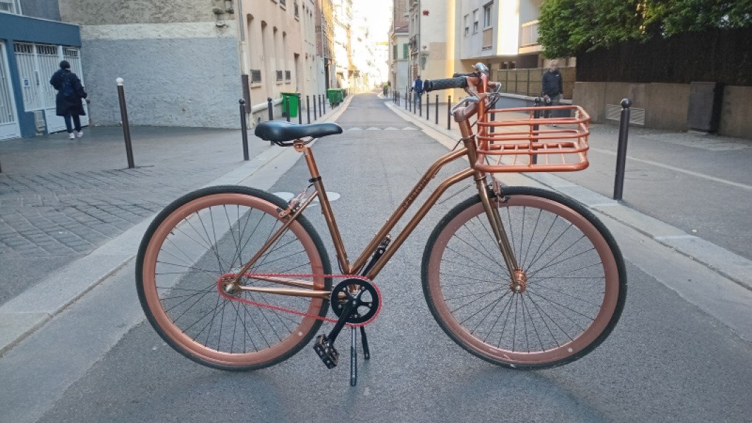 Magnifique vélo Martone Cuivre image