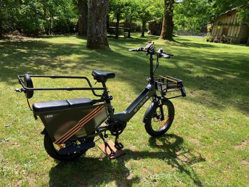 Vélo cargo électrique image