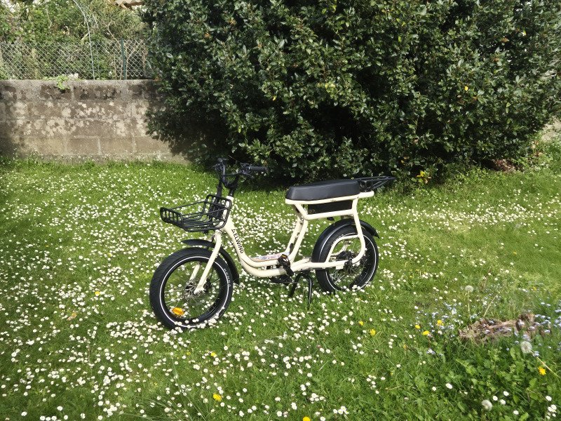 Une photo de l'annonce Vélos cargos & longtails Elwing - Yuvy 2