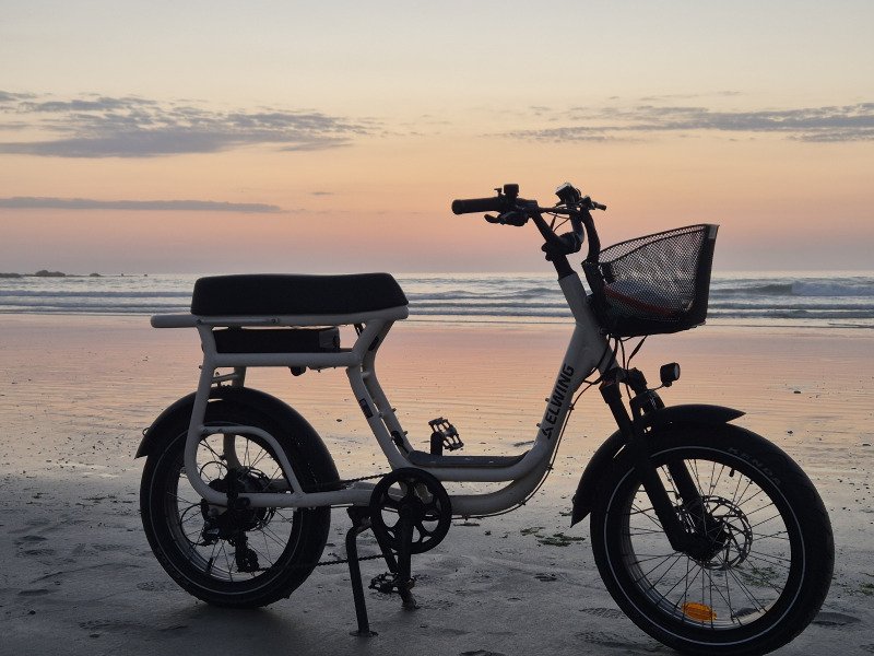 Une photo de l'annonce Vélos cargos & longtails Elwing - Yuvy 2