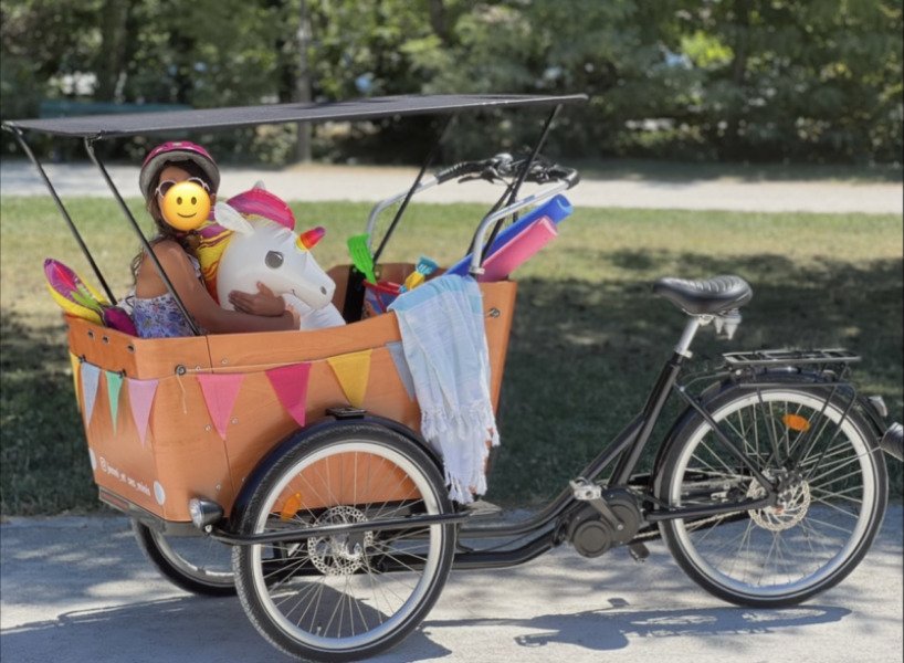 Vélo cargo 4 places ou chien! image