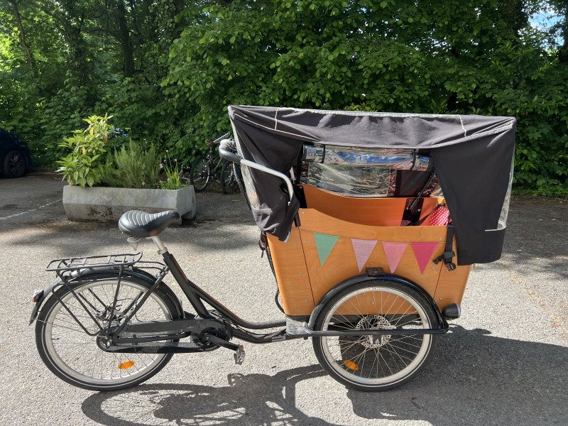 Vélo cargo 4 places ou chien! image