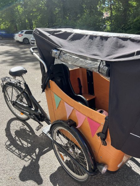 Vélo cargo 4 places ou chien! image