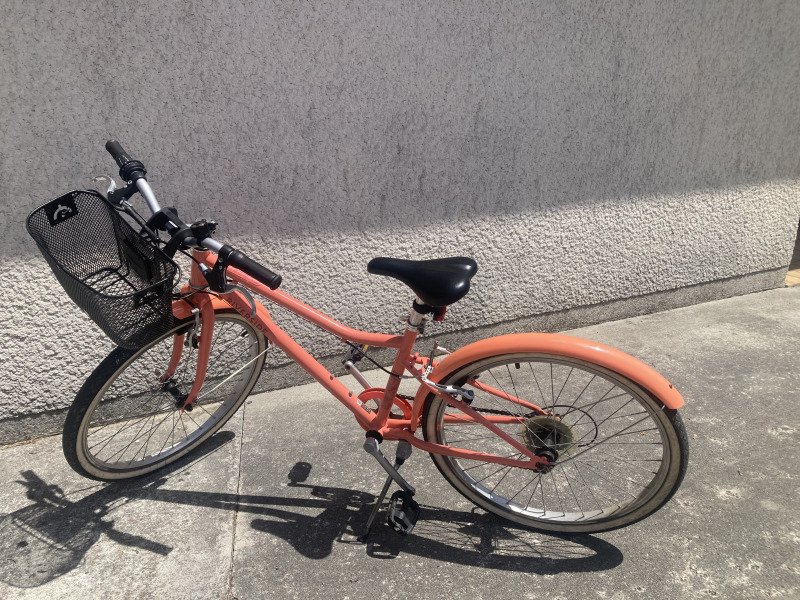 Location Vélo 24 pouces riverside 500 image