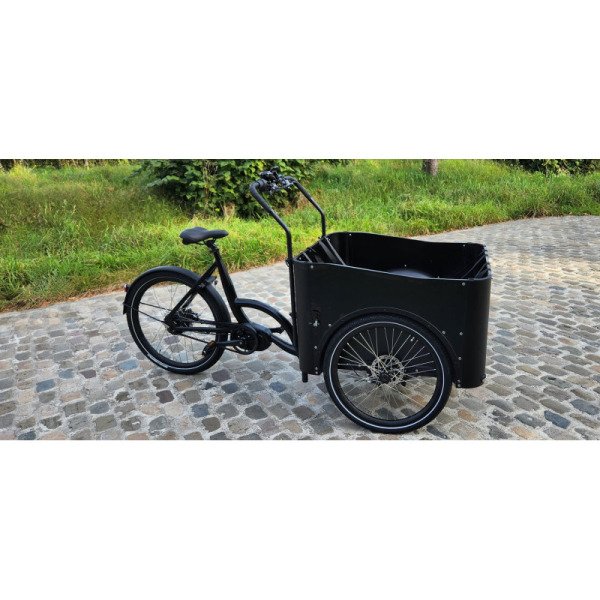 Triporteur électrique KidsCab Care 4 image