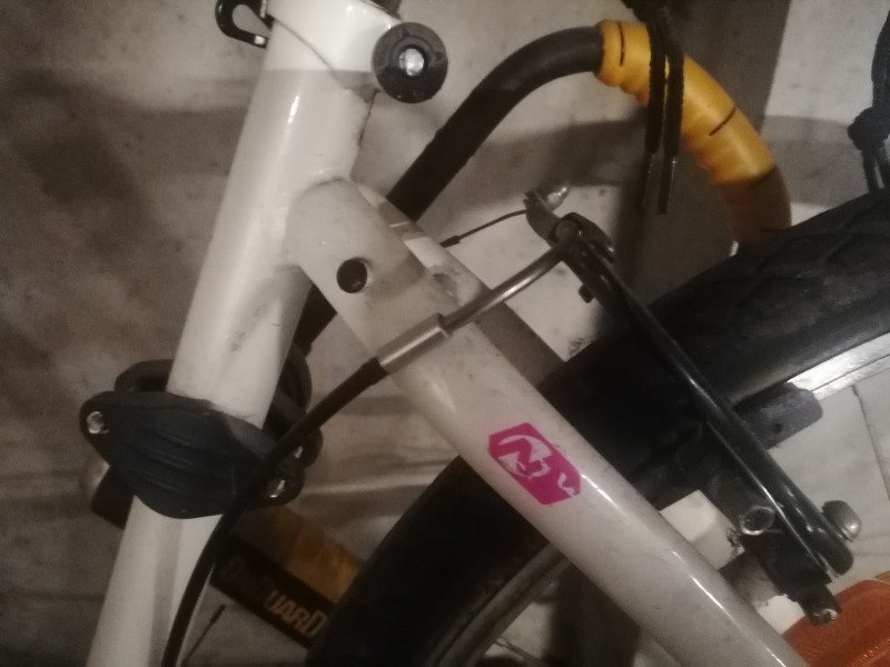 Loue vélo tout terrain Nakamura femme image