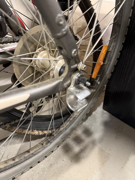 Remorque vélo Thule Coaster XT image