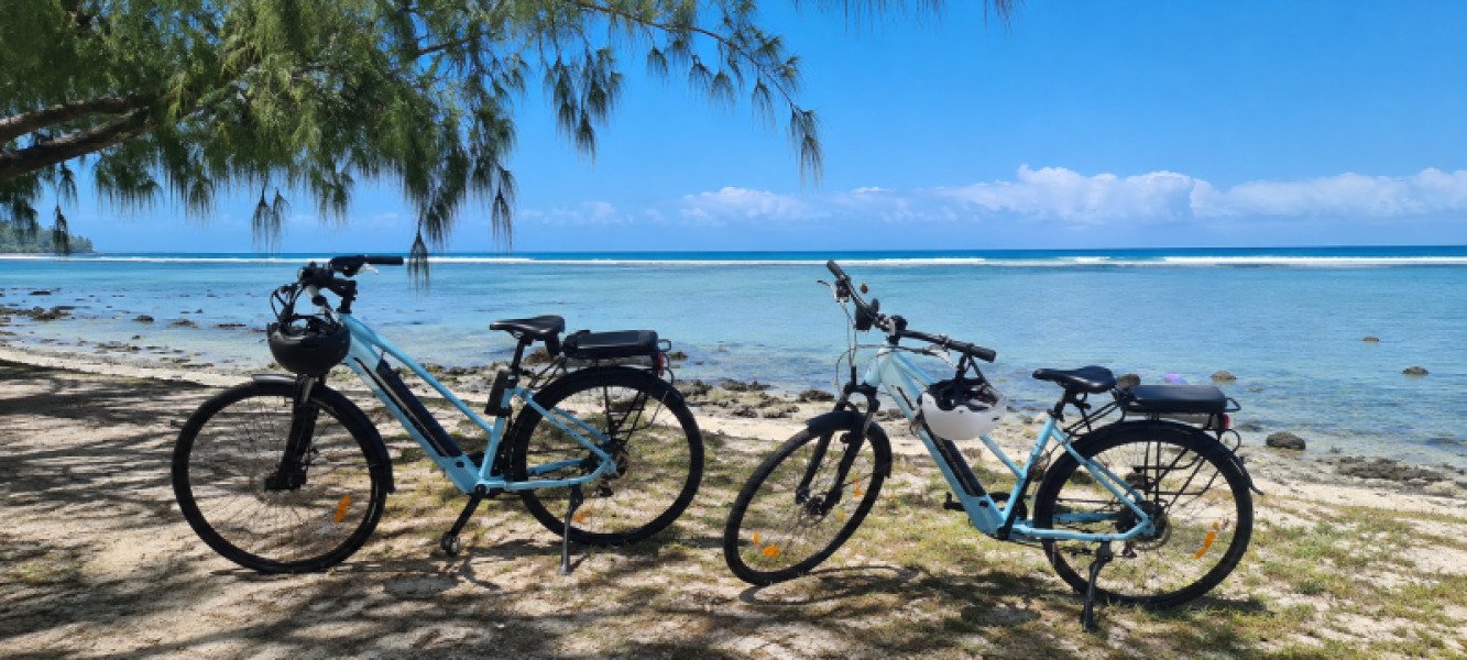 🚴 Vélo électrique du quotidien - Nakamura Crossover Native LTD image