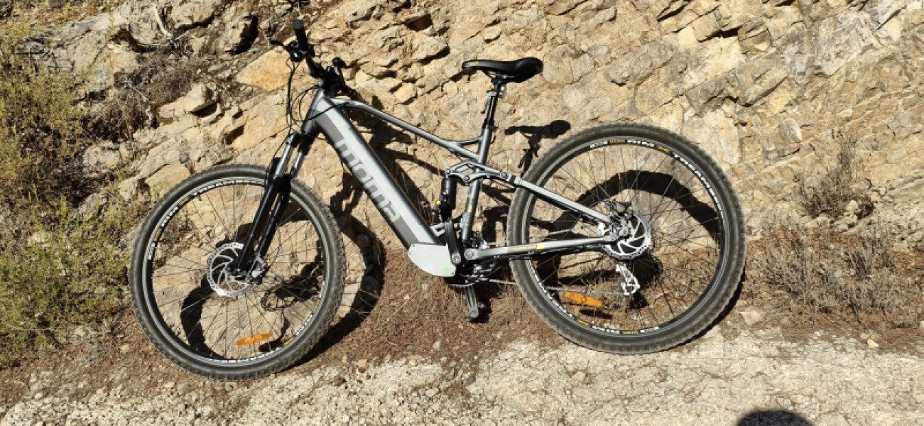 VAE moma bike image