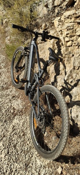 VAE moma bike image