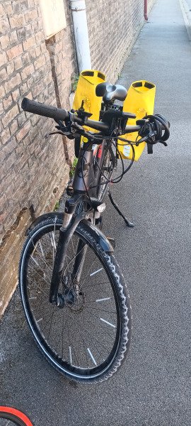 Vélo à assistance électrique Torpado image