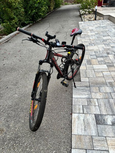 Location d'un VTT à proximité de la route des vins et de Colmar image