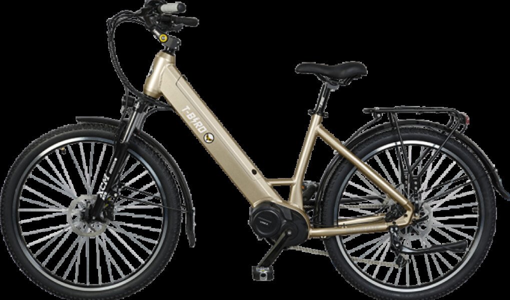 vélo tout chemins image