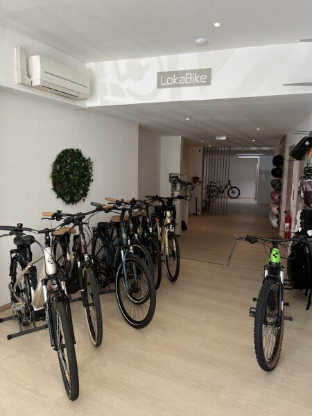 Location E-Bikes VTT et VTC image