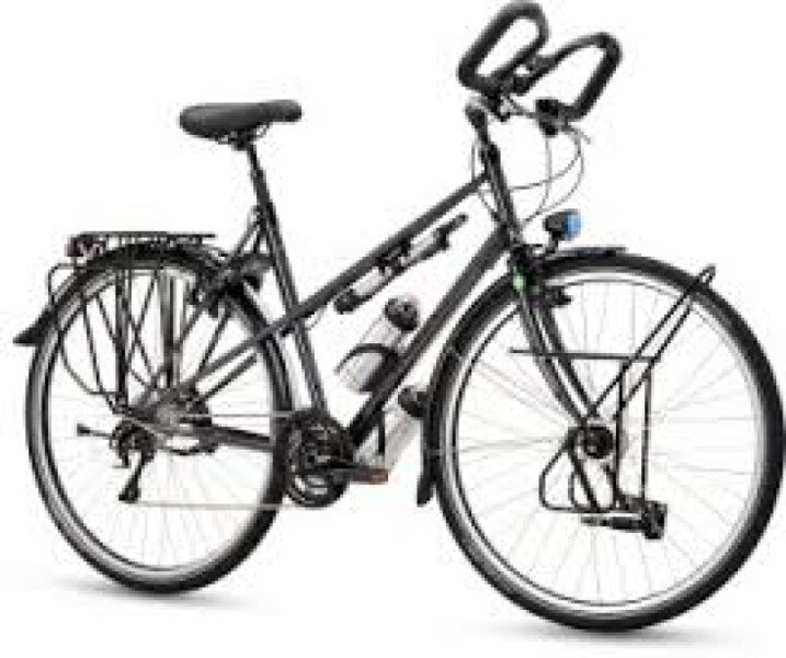 Randonneuse Koga 2016 image